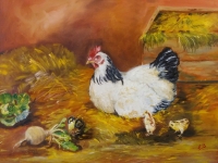 histoire de poule