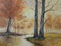 paysage-automnal-au-bord-de-la-riviere