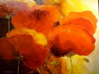 coquelicots-vendue