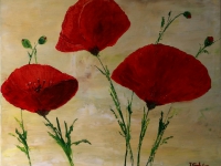 Trois coquelicots