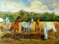 les-chevaux