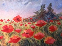 Les coquelicots de QUYEN