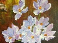 les_crocus