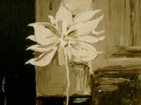 une-fleur-sur-fond-noir