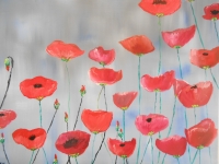 COQUELICOTS